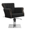 Sillón de peluquería Hair System Ber 8541 Negro