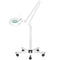 Lámpara Lupa LED 5D con Pie Intensidad Ajustable S5 Blanca