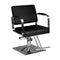Sillón de peluquería Hair System HS202 Negro