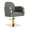 Sillón de peluquería Gabbiano Malaga Oro Gris