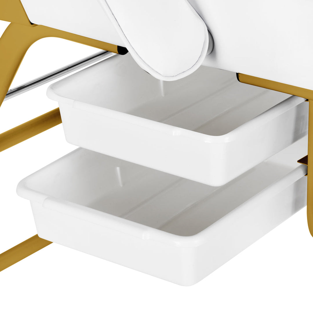 Sillón Fijo 557G con bandejas Oro-Blanco 9