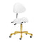 Taburete Ergonómico con Ruedas y Respaldo Giovanni 1004 Oro-Blanco