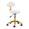 Taburete con Ruedas y Respaldo AM-304G Oro-Blanco
