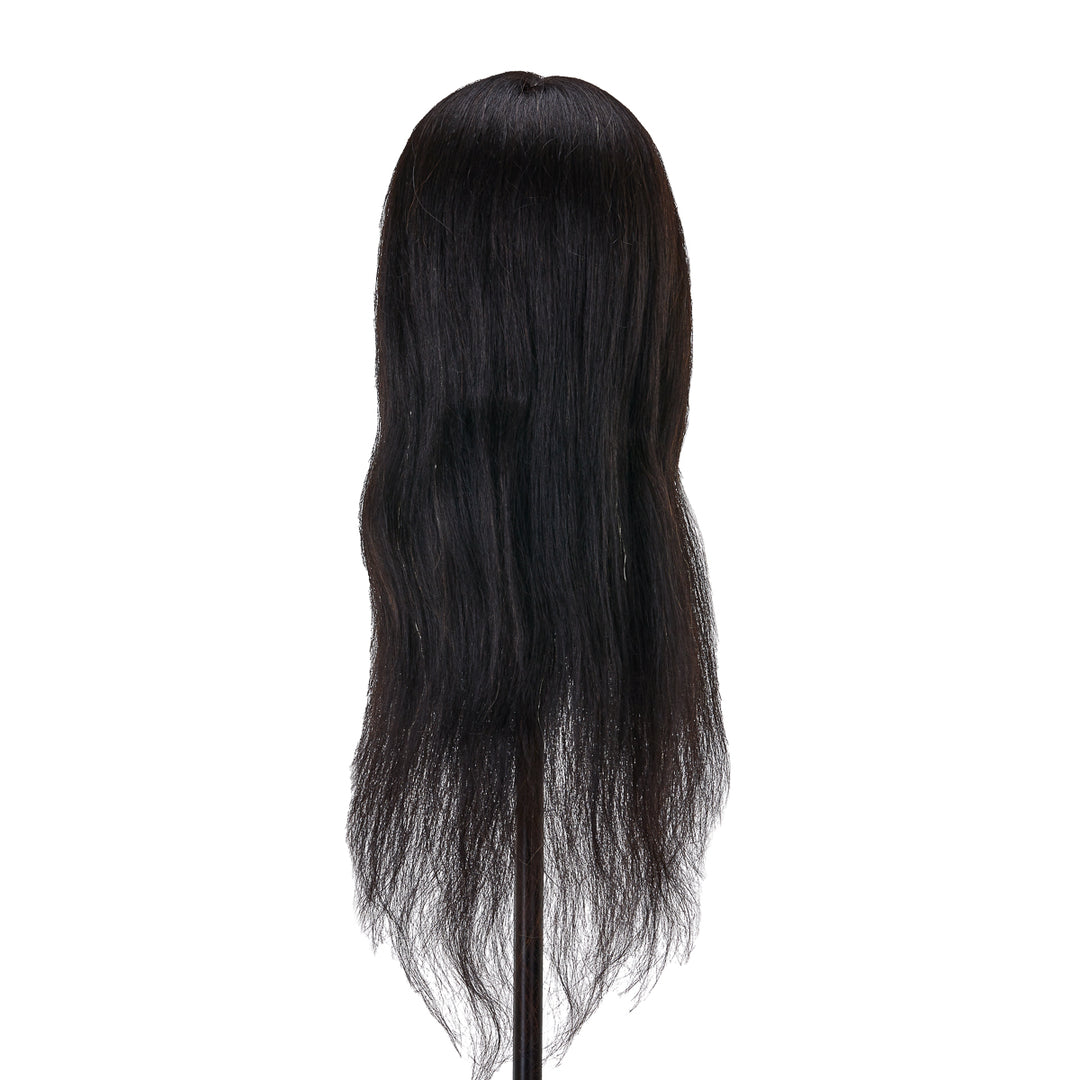 Cabeza Maniquí de Peluquería Gabbiano WZ1 Pelo Natural 42 cm Negro - imagen 4