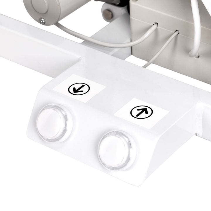 Mesa de Peluquería Canina Eléctrica P4W 3 Iluminada Blanco - imagen 5
